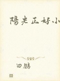 阳光正好小说