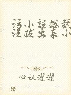 污小说总裁整夜没拔出来小说在线阅读