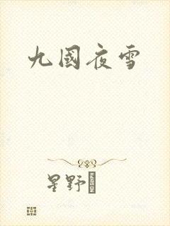 九国夜雪