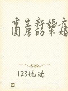 重生新婚夜正在圆房的军婚