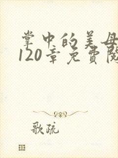 掌中的美母版主120章免费阅读