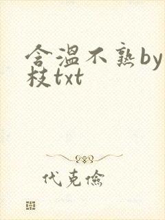 含温不熟by词枝txt
