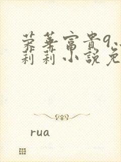 荣华富贵9小王莉莉小说免费阅读