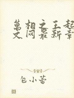 万相之王起点中文网最新章节