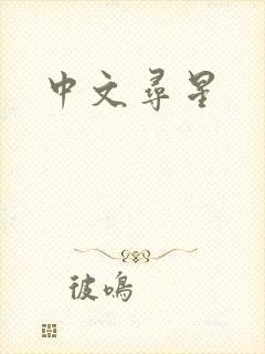 中文寻星