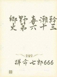 乡野春潮干柴烈火第六十三章