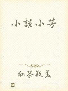 小说小芳