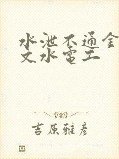 水泄不通金银原文水电工