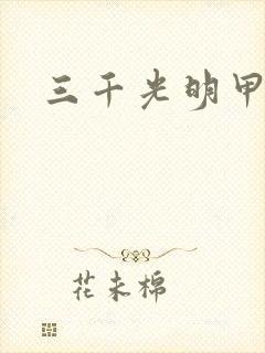 三千光明甲