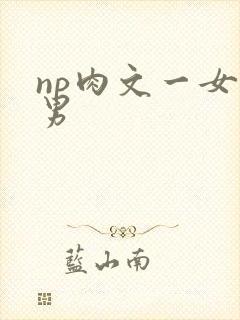 np肉文一女多男