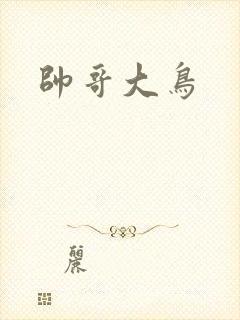 帅哥大鸟
