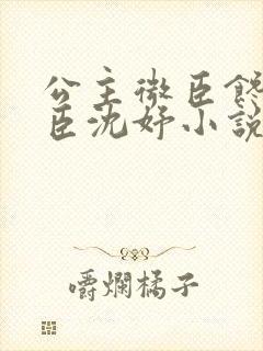 公主微臣馋了微臣沈妤小说