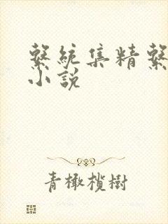 系统集精系统 小说