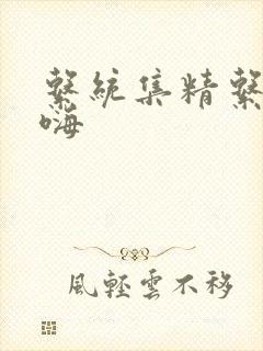 系统集精系统高嗨