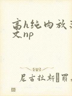 高h纯肉放荡h文np