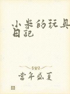 小米的玩具羞辱日记