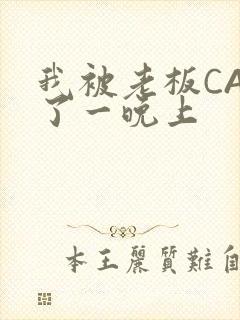 我被老板CAO了一晚上