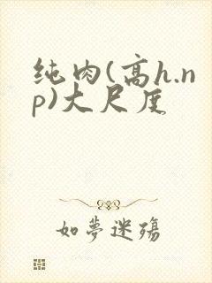 纯肉(高h.np)大尺度