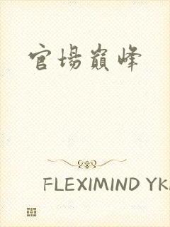 官场巅峰