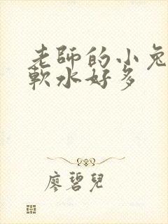 老师的小兔子好软水好多