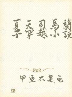 夏天司马兰九皇子穿越小说笔趣阁