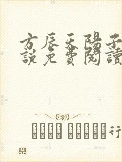 方辰天阳子的小说免费阅读