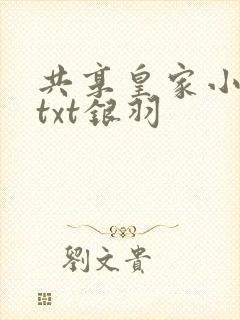 共享皇家小公主txt银羽