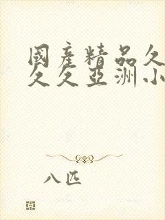 国产精品久久久久久亚洲小说