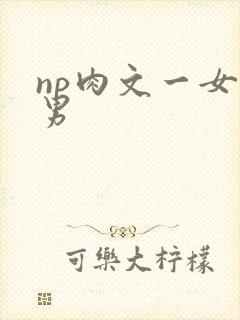 np肉文一女多男