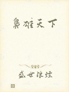 枭雄天下