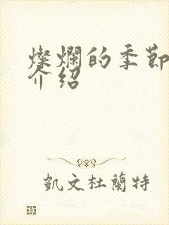 灿烂的季节剧情介绍