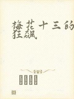 梅花十三的乳液狂飙