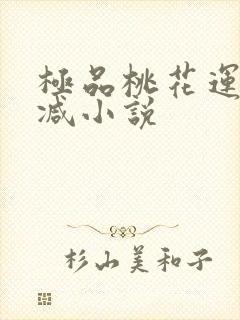 极品桃花运未删减小说