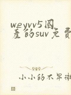 weyvv5国产的suv免费