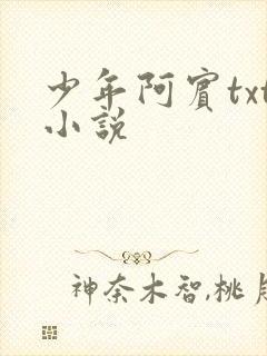 少年阿宾txt小说