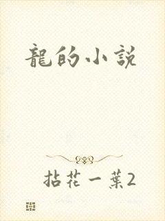 龙的小说