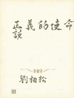 正义的使命 小说