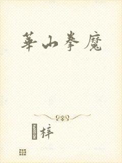 华山拳魔