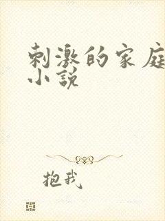 刺激的家庭乱仑小说