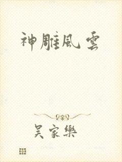 神雕风云