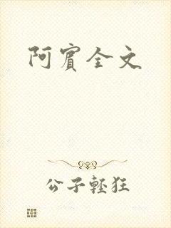 阿宾全文