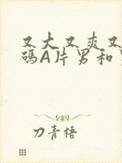 又大又爽又黄无码A片男和男