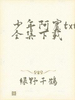 少年阿宾txt全集下载
