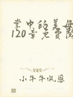 掌中的美母版主120章免费阅读
