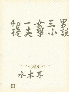 4p一女三男前后夹击小说