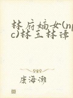 林府嫡女(npc)林玉林璋