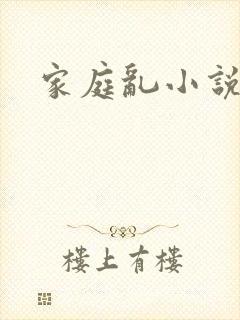 家庭乱小说