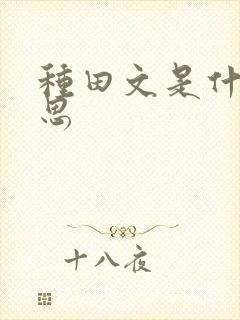 种田文是什么意思