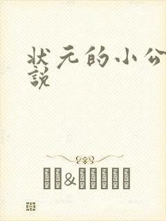 状元的小公主小说