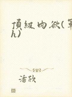 顶级肉欲(军高h)